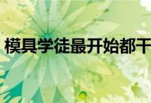 模具学徒最开始都干什么（模具是干什么的）