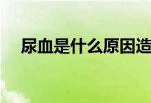 尿血是什么原因造成（尿血是什么原因）