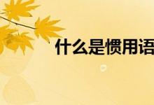 什么是惯用语（什么是惯用语）