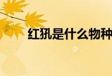 红犼是什么物种（红犼是什么动物）