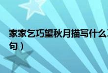 家家乞巧望秋月描写什么习俗（家家乞巧望秋月上一句下一句）