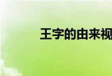 王字的由来视频（王字的由来）