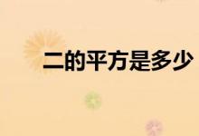 二的平方是多少（一2的平方是多少）