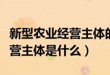 新型农业经营主体的内容是什么（新型农业经营主体是什么）