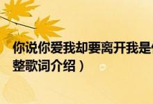 你说你爱我却要离开我是什么歌（你说你爱我却要离开我完整歌词介绍）