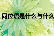 同位语是什么与什么的关系（同位语是什么）