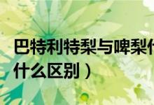 巴特利特梨与啤梨什么区别（啤梨和普通梨有什么区别）