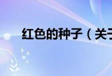 红色的种子（关于红色的种子的介绍）