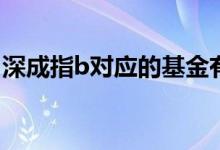 深成指b对应的基金有哪些（深成指B怎么买）