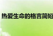热爱生命的格言简短（关于热爱生命的名言）