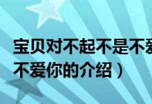 宝贝对不起不是不爱你（关于宝贝对不起不是不爱你的介绍）