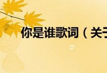 你是谁歌词（关于你是谁歌词的介绍）