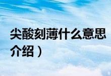 尖酸刻薄什么意思（关于尖酸刻薄什么意思的介绍）