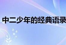 中二少年的经典语录（中二少年的经典语录）