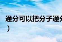 通分可以把分子通分吗（通分是依据什么通分）