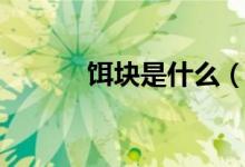 饵块是什么（饵块是什么做的）