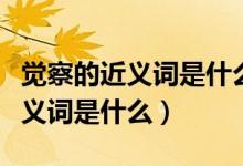 觉察的近义词是什么最佳答案（请问觉察的近义词是什么）