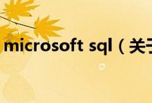 microsoft sql（关于microsoft sql的介绍）