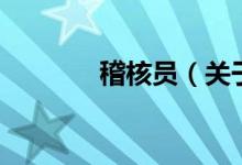 稽核员（关于稽核员的介绍）