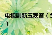 电视剧新玉观音（关于电视剧新玉观音的介绍）