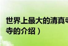 世界上最大的清真寺（关于世界上最大的清真寺的介绍）