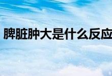脾脏肿大是什么反应（脾脏肿大是什么情况）