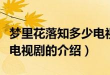 梦里花落知多少电视剧（关于梦里花落知多少电视剧的介绍）
