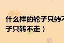 什么样的轮子只转不走打一生肖（什么样的轮子只转不走）