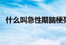 什么叫急性期脑梗死(什么是急性脑梗死)