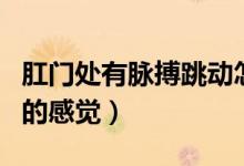 肛门处有脉搏跳动怎么回事（肛门有脉搏跳动的感觉）