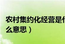 农村集约化经营是什么意思（集约化经营是什么意思）