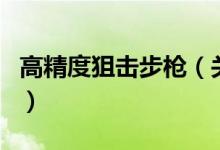 高精度狙击步枪（关于高精度狙击步枪的介绍）