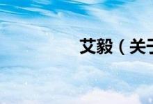 艾毅（关于艾毅的介绍）