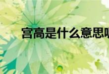 宫高是什么意思呢(宫高是什么意思)