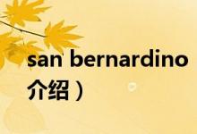 san bernardino（关于san bernardino的介绍）