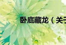 卧底藏龙（关于卧底藏龙的介绍）