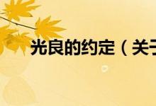 光良的约定（关于光良的约定的介绍）