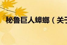 秘鲁巨人蟑螂（关于秘鲁巨人蟑螂的介绍）