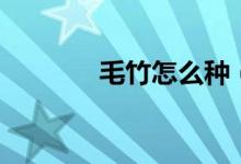 毛竹怎么种（毛竹如何种植）