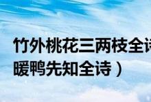 竹外桃花三两枝全诗（竹外桃花三两枝春江水暖鸭先知全诗）