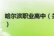 哈尔滨职业高中（关于哈尔滨职业高中的介绍）