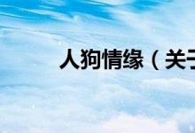 人狗情缘（关于人狗情缘的介绍）