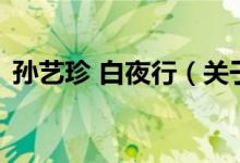 孙艺珍 白夜行（关于孙艺珍 白夜行的介绍）