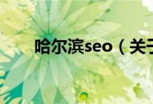 哈尔滨seo（关于哈尔滨seo的介绍）