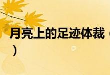 月亮上的足迹体裁（月亮上的足迹是什么文体）