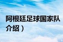 阿根廷足球国家队（关于阿根廷足球国家队的介绍）
