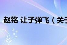 赵铭 让子弹飞（关于赵铭 让子弹飞的介绍）