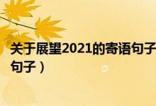 关于展望2021的寄语句子大全（新一年用心生活努力拼搏的句子）