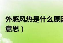 外感风热是什么原因引起的(外感风热是什么意思)