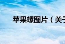 苹果螺图片（关于苹果螺图片的介绍）